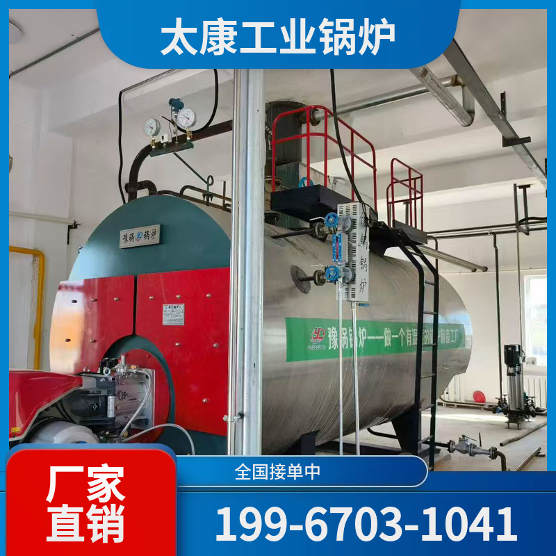甘南生物质热水锅炉